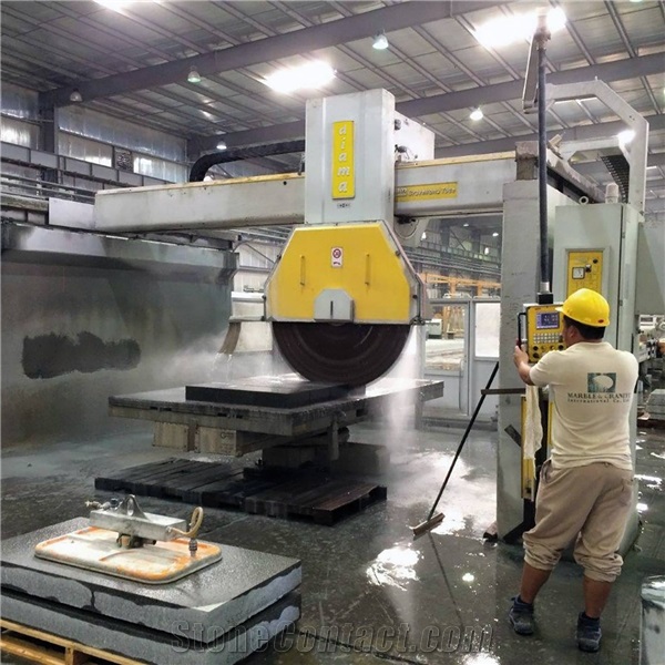 Diama 40 TS3 Automatic Giant Disc Bridge Saw Machine