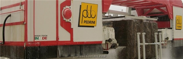 Pedrini Jupiter GS 200 is an open frame multiwire machine
