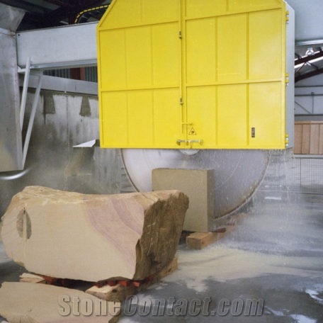 T30 S Electronic Giant Disc Saw