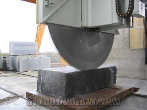 T30 S Electronic Giant Disc Saw