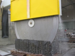 T30 S Electronic Giant Disc Saw