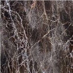 Emperador Dark Granite Tile, China Brown Granite