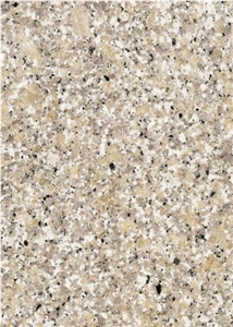 Bianco Sardo Champagne Granite