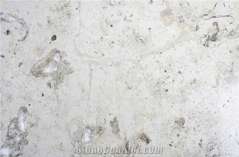 Gasell Dolomite White Limestone Slabs & Tiles, Germany White Limestone