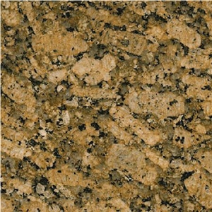 Amarelo Fiorito Granite Slabs Amarelo Fiorito Granite Slabs