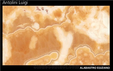 Alabastro Egiziano Onyx Slabs & Tiles, Egypt Yellow Onyx