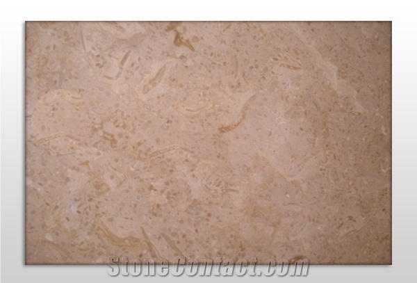 Turverra Marble Tiles, Pakistan Beige Marble