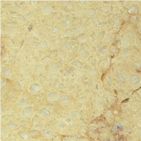 Sylvia Marble Slabs & Tiles, Egypt Yellow Marble Sylvia Marble Slabs & Tiles, Egypt Yellow Marble