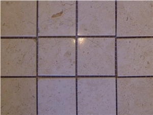 Jerusalem White Fossil Mosaics