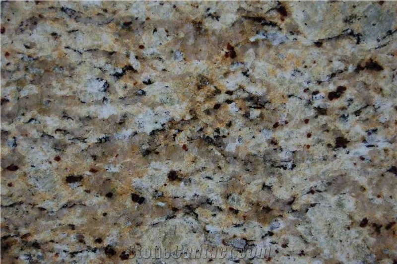 New Venetian Gold Granite Slabs & Tiles