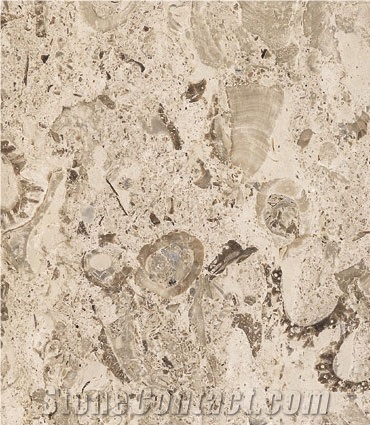 Aurisina Fiorita Lumachella Marble