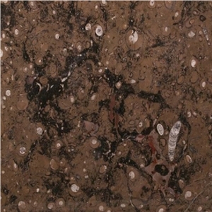 Fossil Brown Limestone Slabs & Tiles, Morocco Brown Limestone