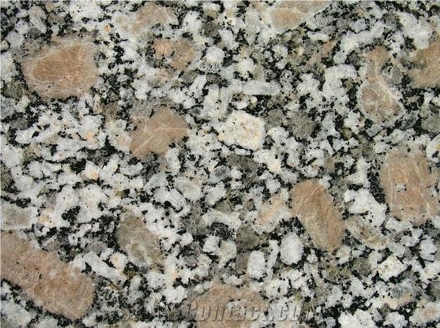 Espinho - Fine Grey Granite