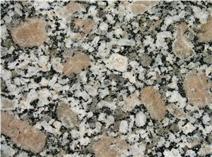 Espinho - Fine Grey Granite Espinho - Fine Grey Granite