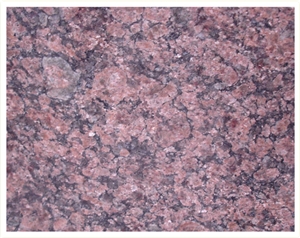 Bismark Brown Granite Slabs & Tiles, India Brown Granite