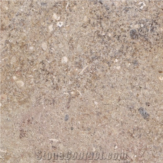 Vasalemma Limestone Slabs & Tiles