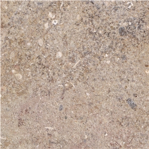 Vasalemma Limestone Slabs & Tiles Vasalemma Limestone Slabs & Tiles