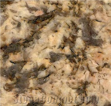 Golden Persa Granite Slabs & Tiles, Brazil Yellow Granite