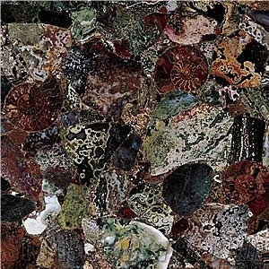 Ocean Jasper Semiprecious Stone