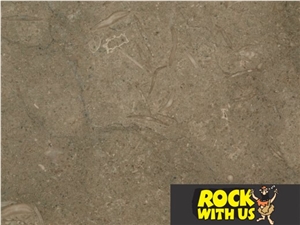 Fossil Limestone