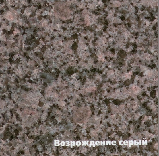 Vozrozhdenie Granite Slabs & Tiles, Russian Federation Grey Granite