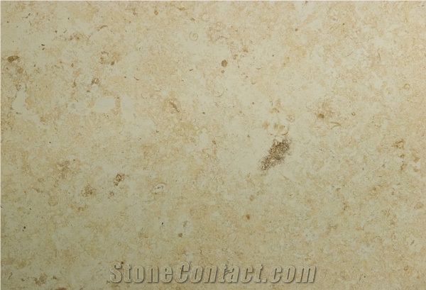 Coral Fossil Honed Coral Stone, Classic Coral Stone Tiles