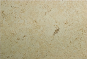 Coral Fossil Honed Coral Stone, Classic Coral Stone Tiles