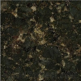 Verde Butterfly Granite Slabs & Tiles