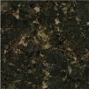 Verde Butterfly Granite Slabs & Tiles