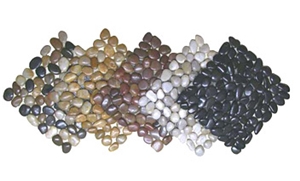 Pbble Mosaic Tiles