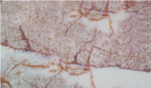Red Cream Oil Marble Tile
