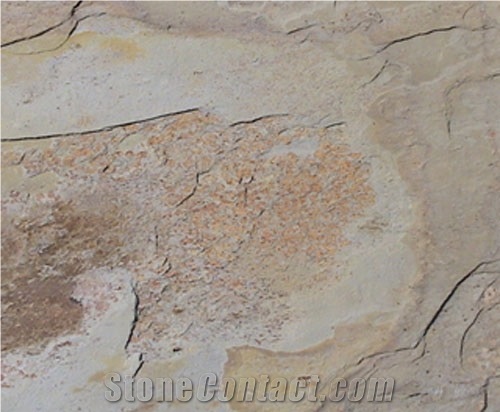 Indian Autumn Slate Slabs & Tiles
