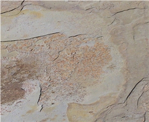 Indian Autumn Slate Slabs & Tiles