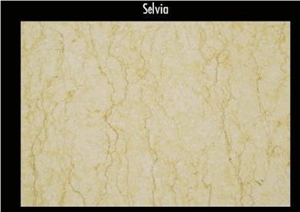 Silvia Oro Marble Slabs & Tiles, Egypt Yellow Marble