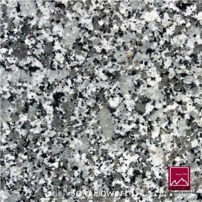Bala Flower Granite Slabs & Tiles, India Green Granite