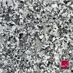 Bala Flower Granite Slabs & Tiles, India Green Granite