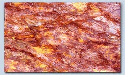 Squared Red Ayllon TILE