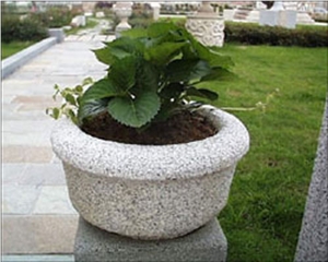 White Granite Flower Pot