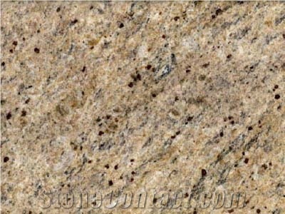 New Venetian Gold Granite Slabs & Tiles