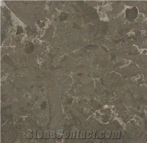 Brecha Tavira Limestone Slabs & Tiles