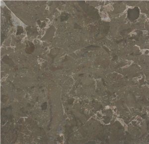 Brecha Tavira Limestone Slabs & Tiles