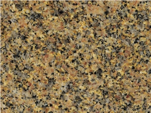 Amarello Gold Granite Tiles Amarello Gold Granite Tiles