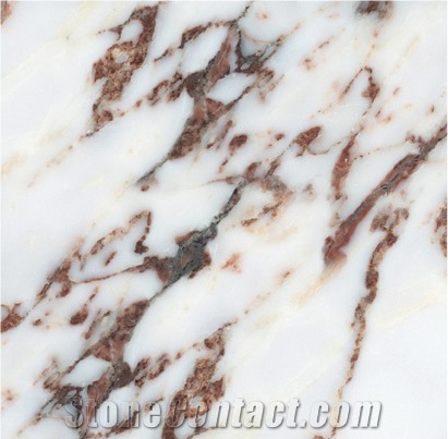 Breccia Capraia Marble Slabs & Tiles