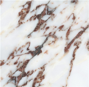 Breccia Capraia Marble Slabs & Tiles Breccia Capraia Marble Slabs & Tiles