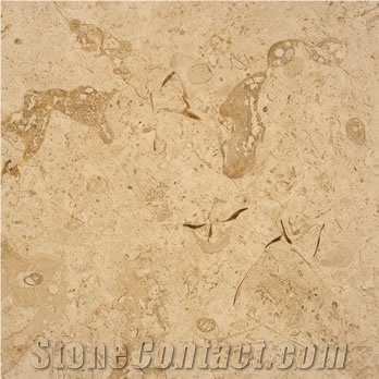 Jerusalem Bone Limestone Polished Tile, Israel White Limestone