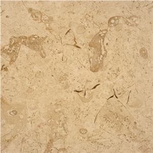 Jerusalem Bone Limestone Polished Tile, Israel White Limestone Jerusalem Bone Limestone Polished Tile, Israel White Limestone