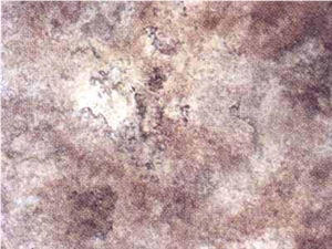 Algonquin Limestone Slabs & Tiles, Canada Brown Limestone Algonquin Limestone Slabs & Tiles, Canada Brown Limestone