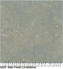 Sea Fossil Limestone Slabs & Tiles