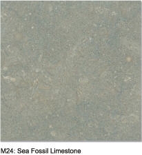 Sea Fossil Limestone Slabs & Tiles