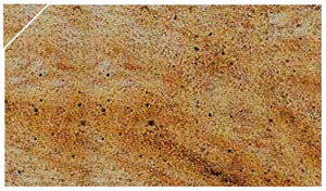 Kashmir Gold Granite Slabs & Tiles, India Yellow Granite